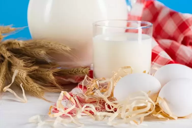 البيض والحليب لاتباع نظام غذائي للشرب